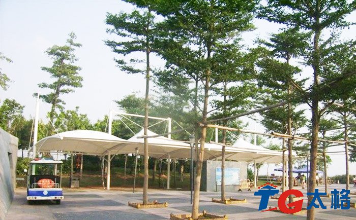 太格之深圳灣景觀膜結構工程側面