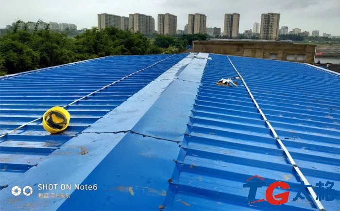 ?？谑形鬯幚韼r棉板雨棚膜結構項目