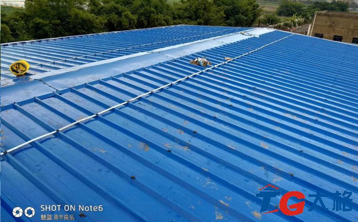 ?？谑形鬯幚韼r棉板雨棚膜結構項目